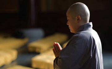 初学者怎样才能够多了解佛法？而能应用在生活上呢？