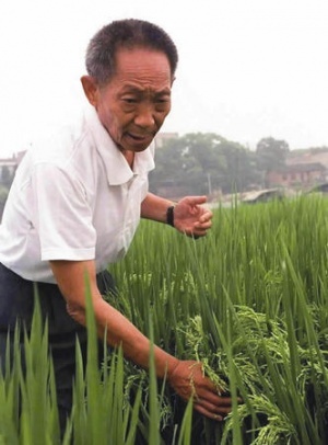“杂交水稻”之父——袁隆平