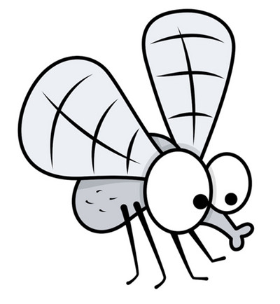 如何请走蚊子、苍蝇、蚂蚁、蟑螂？